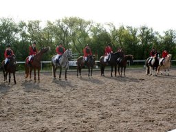 320125_10151090364843585_858680124_n